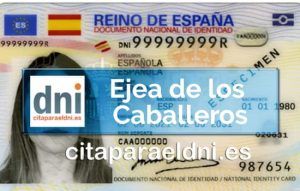 DNI Ejea de los Caballeros